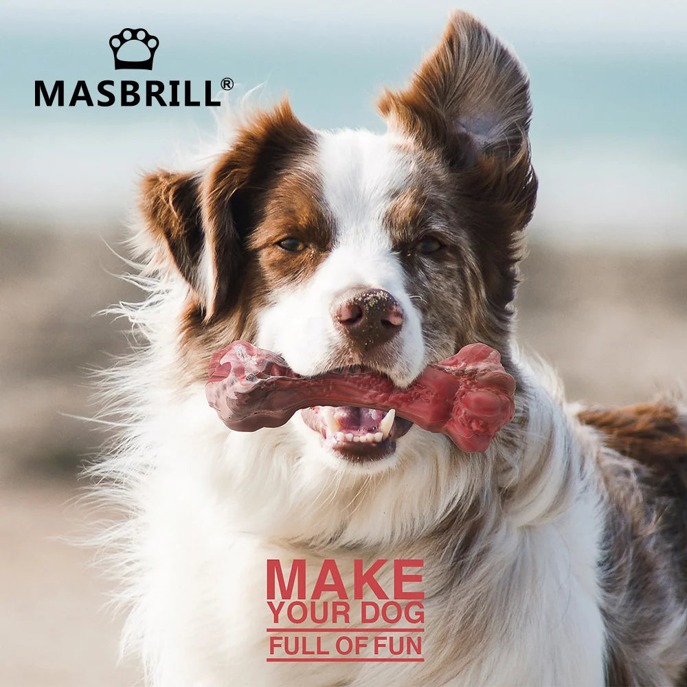 Indestructible Dog Chew Toys for Large Breed Aggressive Chewers