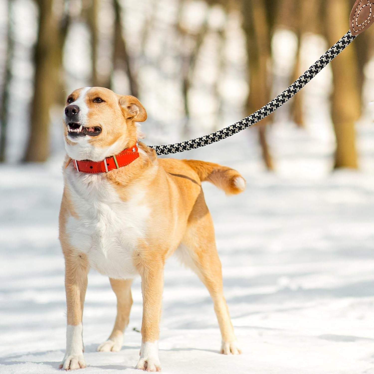 | Mountain Climbing Dog Rope Leash with Heavy Duty Metal Sturdy Clasp | Genuine Leather Tailored Connection with Strong Stitches (Black Khaki, 60 Inch (Pack of 1))